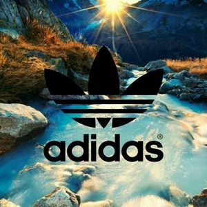 Meet your Posher, Tori